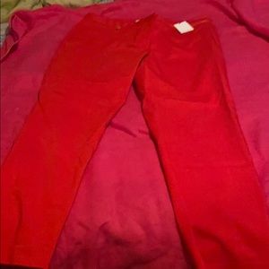 Calvin Klein dress pants